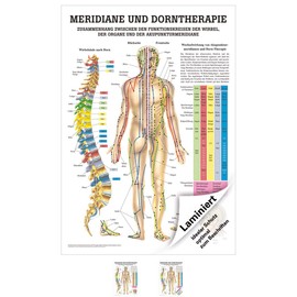 Rüdiger Meridians and Thorn Mini Poster Anatomy 34 x 24 cm Medical Teaching Aid