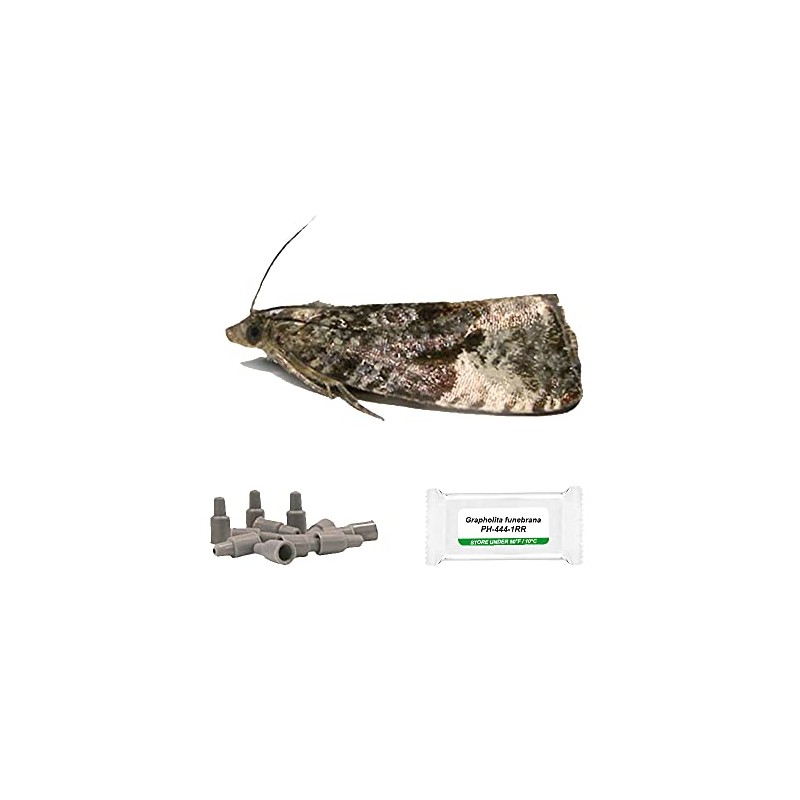 PlantPro Pack of 3 Moth Trap Attractant Pheromones Plum Fruit