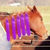 YUYUSO Waterproof Mane Bags Horse Mane Guard Protectors Holder Cover Bags for Equine Horse Pony Protect Mane from Dirt Breakage Rubbing