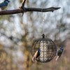 SOARS Hanging Bird Feeder with Protective Cage Metal, Bird Feeder