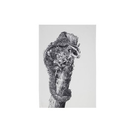 Maxwell & Williams Marini Ferlazzo Tea Towel with Animal Motif, Short Head Gliding Bag, 100% Indian Cotton, White, 50 x 70 cm