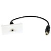 AV:Link | Wall Plate Module - 3.5mm Stereo Jack to