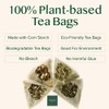 VAHDAM, Mint Green Tea Bags (30 Count) 100% Pure Leaf