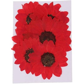 6pcs Dried Sunflower Natural Dried Flowers Pressed Flowers for DIY Art Crafts Decoration - Red