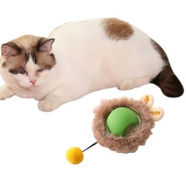 Hiapix Interactive Cat Ball Toy Set, Automatic Rolling Chase Ball with Fluff Tail，A Small Mice with LED Light, Rechargeable
