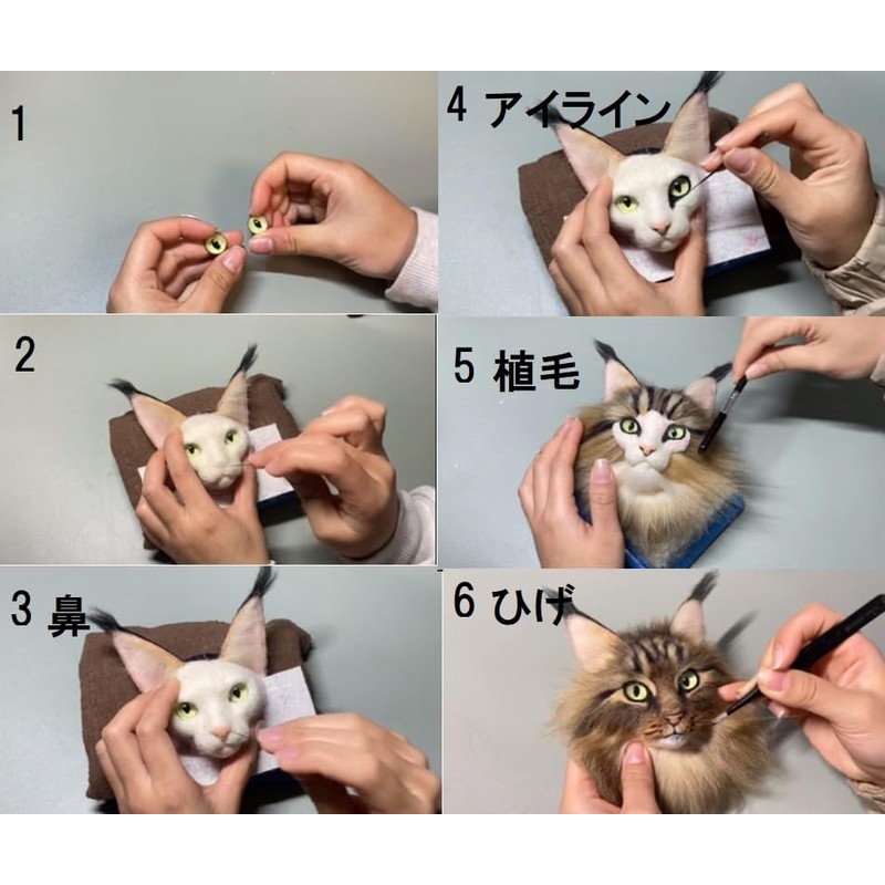 Monshop Wool Felt Kit, Realistic Cats, Maine Coon, Cat