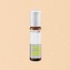 BioDroga Anti-Blemish Stick 5ml / 바이오드로가 안티 블레미쉬 스틱 5ml