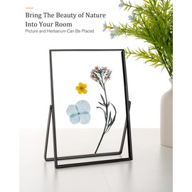 RICHFOCUS 8x10 Floating Picture Frame, Floating Display for 5x7 6x8, Beaded Metal Picture Frames with Real Glass, Tabletop Photo Frame for Multiple Size up to 8x10 Inch, for Home Decor, Black 1PC