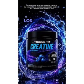 Creatina Monohidratada 300g Polvo Hydrashot                                                                                                           