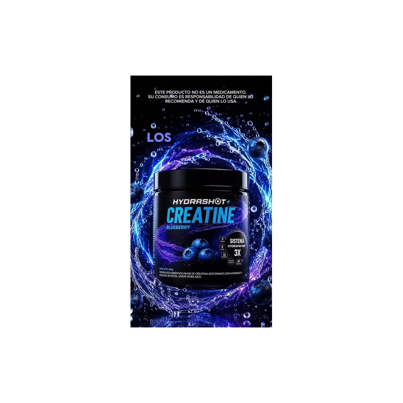 Creatina Monohidratada 300g Polvo Hydrashot