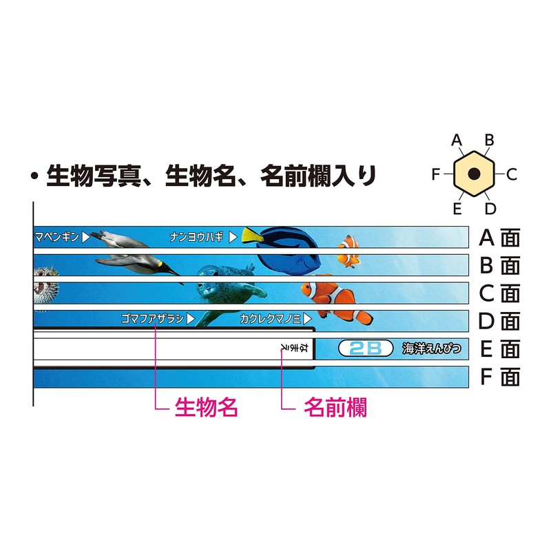 Kutsuwa 2B PA026 Pencil Marine Pencil