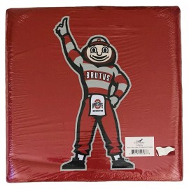 OxBay Ohio State Buckeyes Upholstered Storage Ottoman by OxBay-New