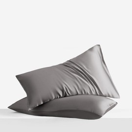 LINENWALAS 100% Eucalyptus Silk Pillow Cases 2 Pack - Pillowcase for Hair and Skin Standard Size with Envelope Closure (Light Grey, 50x75 cm)