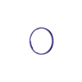 JJC Metal Lens Decoration Ring Compatible with Ricoh GR III GR3 GRIII HDF Camera Replaces Ricoh Original Ring or Accessory GN-1 (Purple)