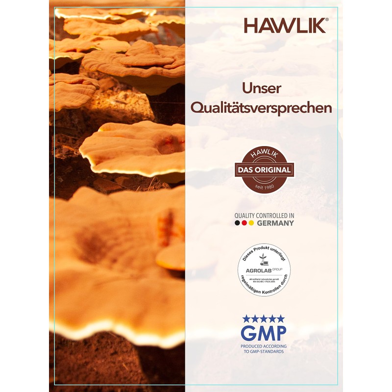 Hawlik Health Products - Polyporus Powder Capsules - Vital Mushrooms
