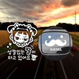 Jeje Deco P_Tempered Daughter Reflection+Fuel Cap Mustache Diesel W / P_성깔있는딸 반사+주유구수염 디젤W