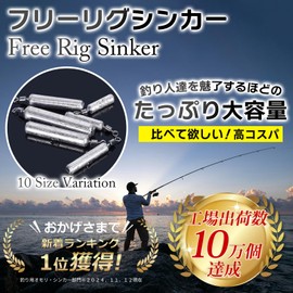 Lead Free Rig Free Rig Sinker Large Capacity 10 Sizes 30g 20g 18g 14g 12g 10g 7g 5g 3.5g 2g Sinker Fishing (10g, 30 pcs)