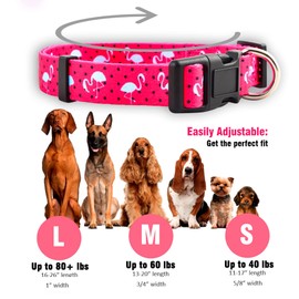 Native Pup Pink Flamingo Dog Collar for Spring Summer, Cute Girly Patterns for Female Puppies, Durable Nylon for Small or Large Breed (Pink Flamingo, Large)