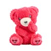 Mood Bears® Love Bear (Mini) – Vibrant Red Teddy Bear