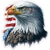 Eagle Head USA Sticker - 4 Inch