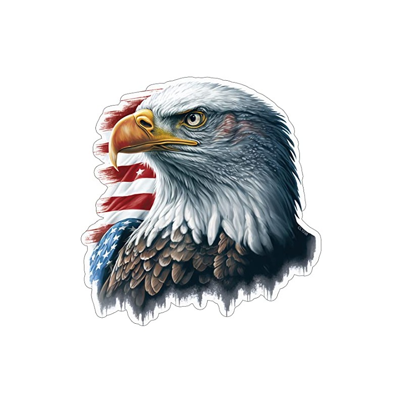 Eagle Head USA Sticker - 4 Inch