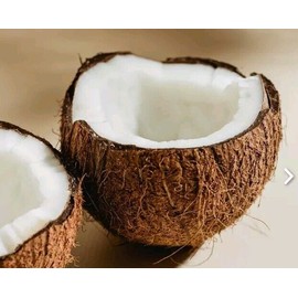 Undone Beauty Ulta Undone Beauty Warm Up Bronzer 4 In 1 Radiance PaletteBrand New Vegan Blendi