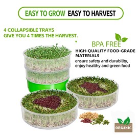 Aowalen 4-Tier Seed Sprouting Kit, Stackable Microgreens Growing Kit with Drain Trays and Blackout Sleeves, Green Soil-Free Seed Sprouter Tray for Growing Organic Mung Beans, Broccoli, Alfalfa