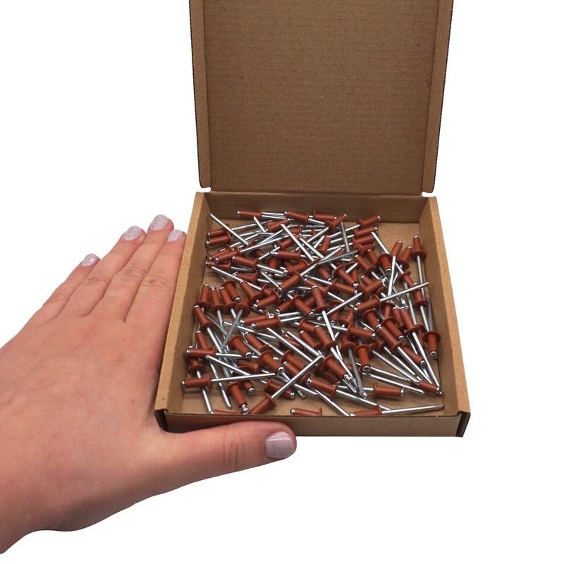 Pack of 100 Painted Blind Rivets 4.0 x 10 mm,