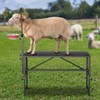 Goat Stand for Milking with Feed Bin, 47x23 inch Metal
