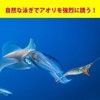 エギング エギ 10本セット 2.5号 3号 3.5号 アオリイカ 釣り 餌木 夜光