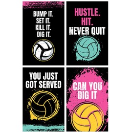 Damdekoli Volleyball Posters - Set of 4 (24 x 36 Inches)