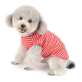 SMALLLEE_LUCKY_STORE Basic Pet Knitted Cotton Striped Tee Shirt for Small Dogs Cats Boy Girl Puppy Sleeveless T Shirt Vest Soft Chihuahua Summer Clothes,Red,XXL