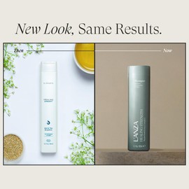 L'ANZA Healing Strength Shampoo For Dry, Damaged Hair, Anti Aging Daily Shampoo that Strengthens, Repairs Damage, Moisturizing, Boosts Shine, Color Safe Anti-Humidity, Sulfate Free (10.1 Fl Oz)