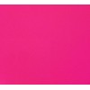 US Marine Products LLC Fluorescent Lobster Buoy Paint Pink Quart