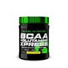 Scitec Nutrition BCAA + Glutamine Xpress – Essential Amino Acid