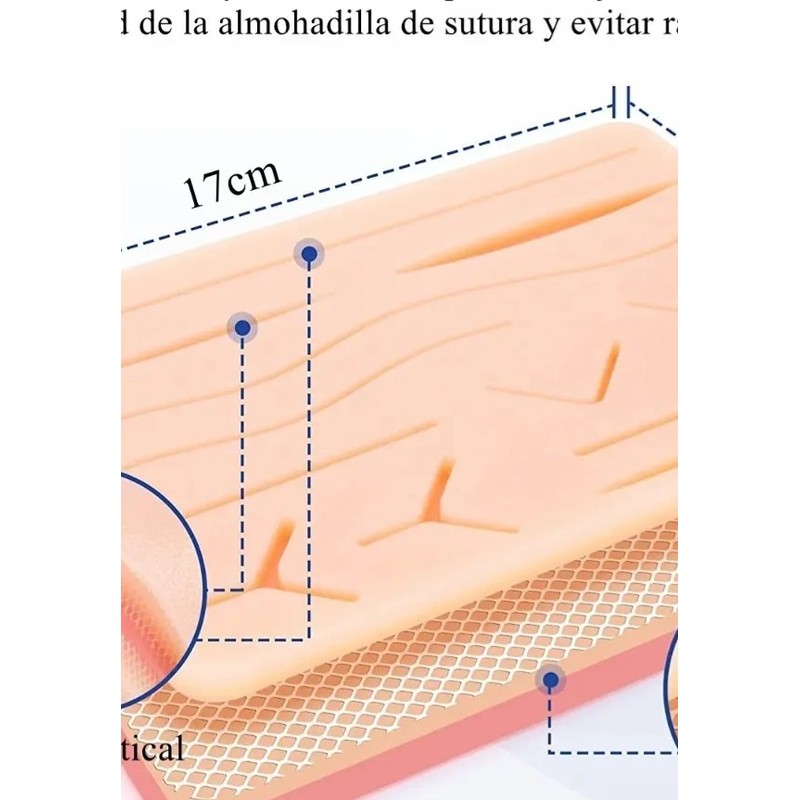 Kit De Práctica De Suturas Modelos Anatómicos Para Estudiant