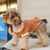 Soft Cotton Shirt for Small Dogs,XXS Dog Shirt,Extra Small Dog