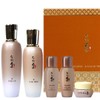 LG a엘지 수려한 본 초보습 2종 기획세트 한방 LG Sulwhasoo