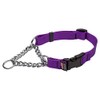 Cetacea Chain Martingale Dog/Pet Collar with Quick Release, X-Large, Purple