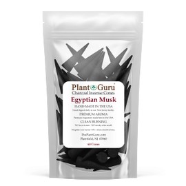 Egyptian Musk Charcoal Incense Cones 2" TOPFLOW - 60 Pack Bulk - Natural Scented Cones Handmade Hand Dipped