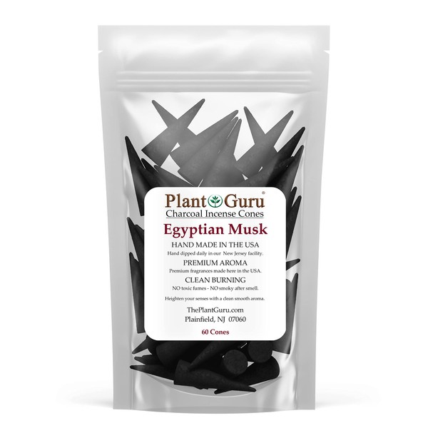 Egyptian Musk Charcoal Incense Cones 2" TOPFLOW - 60 Pack