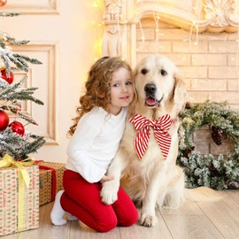 Malier Christmas Dog Collar with Bowtie, Classic Red Stripe Dog Christmas Collar for Girl and Boy, Cute Adjustable Dog Collars Puppy Collar for Small Medium Large Dogs Cats Pets (Small, Red Stripe)