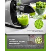 AMZCHEF ZM1501 Masticating Juicer with Quiet Motor, Cold press Juicer