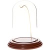 Plymor 3" x 5" Watch Glass Display Dome Cloche (Walnut