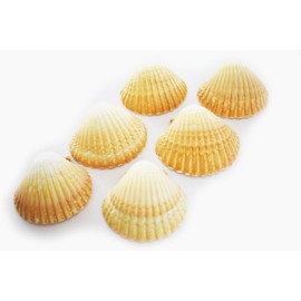 Set of 6 Large Mexican Deep Scallops 3" - 3 1/2" Baking Shells Beach Wedding Decor Crafts