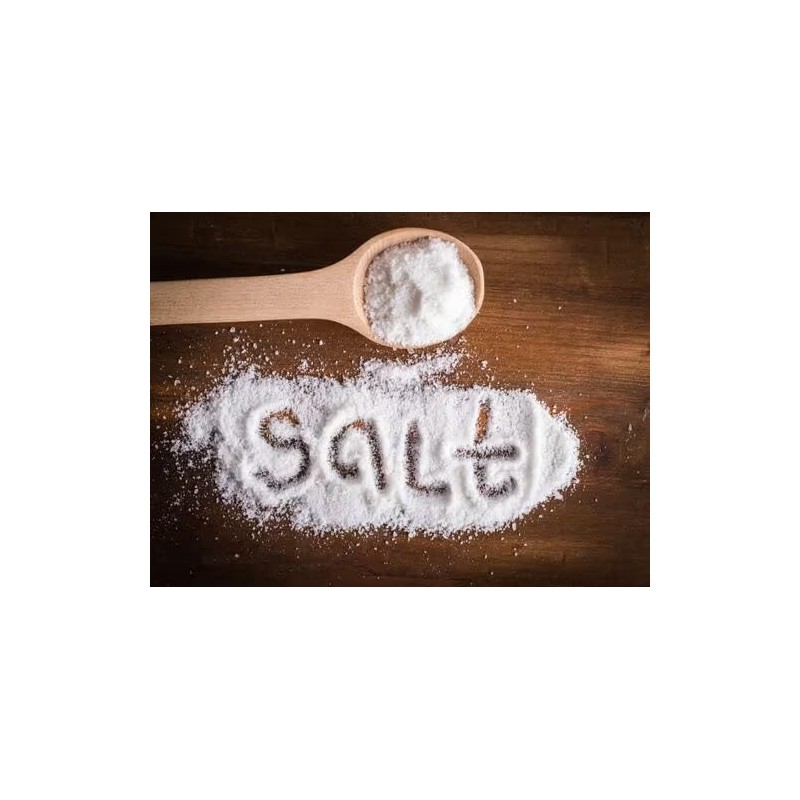 Gourmet Single Serve Iodized Salt Packets | By Dasher's Spice