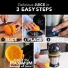 Vinci Hands Free Electric Citrus Juicer, 1-Button Juicer Machine, Orange