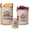 Kamehame Potato Storage Box 3 Pieces Potato Onion Garlic Storage