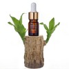 Jang's Original Mink Oil Face Oil Benefits Dewy Skin 5+1
