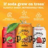 Culture Pop Refresco Probiótico De Jengibre, Limón Y Cúrcuma